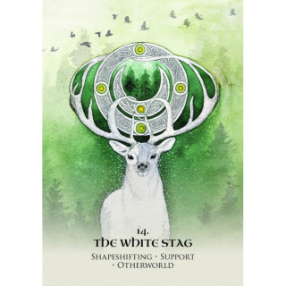 Celtic Spirit Oracle Cards