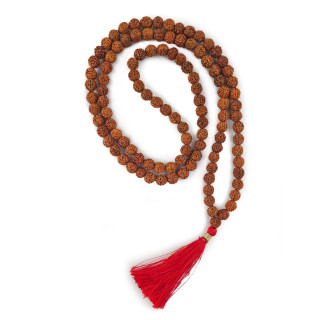 Rudraksh meditation necklace, medium 8 mm