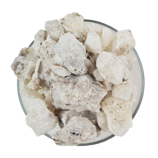 Kadilo beli kopal Mehika - Bursera bipinnata