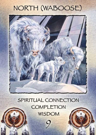 Karte Spirit of the Wheel Meditation Deck