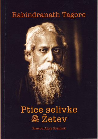 Ptice selivke - Žetev