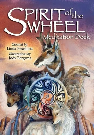 Orakeljske karte Spirit of the Wheel Meditation Deck