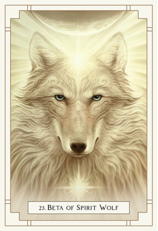 Karte White Light Oracle - Enter the Luminous Heart of the Sacred