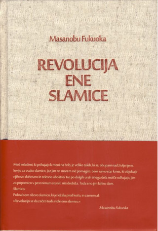 Revolucija ene slamice