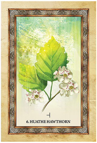 Karte Celtic Tree Oracle