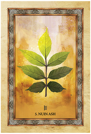 Karte Celtic Tree Oracle