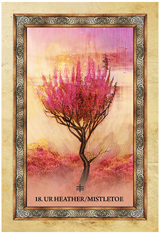 Karte Celtic Tree Oracle