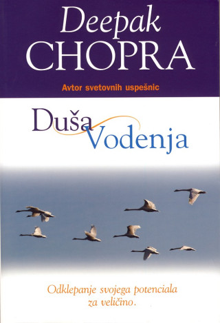 Duša vodenja