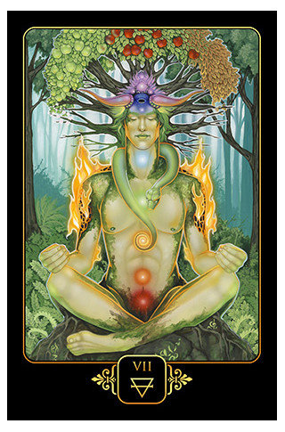 Karte Dreams of Gaia Tarot