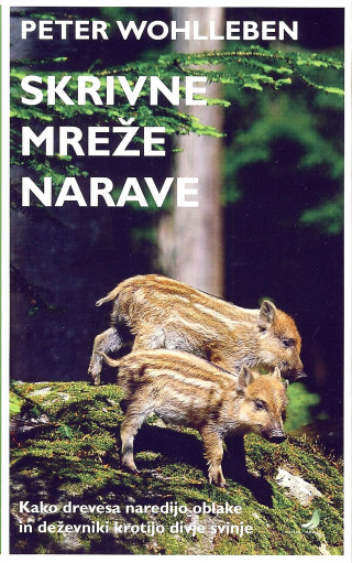 Skrivne mreže narave