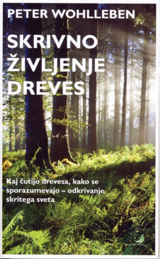 Skrivno življenje dreves