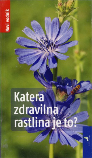 Katera zdravilna rastlina je to?