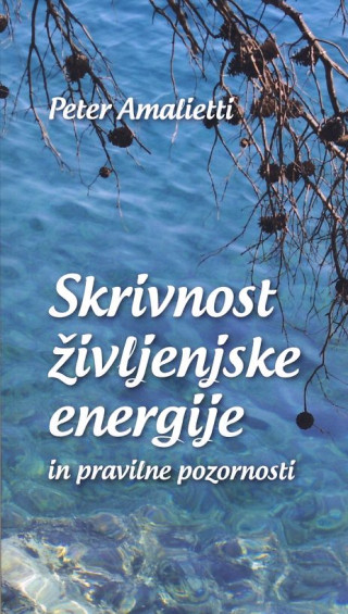 Skrivnost življenjske energije in pravilne energije