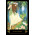 Karte Dreams of Gaia Tarot