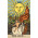 Smith-Waite tarot deck - borderless edition