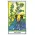 The Herbal Tarot cards