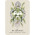 Celtic Spirit Oracle Cards