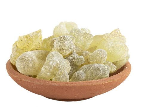 Kadilo Boswellia Sacra - Zeleni Hojari - bosvelija iz Omana