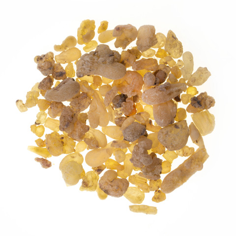 Kadilo Boswellia Serrata ali indijska bosvelija kvaliteta 1. 100 g