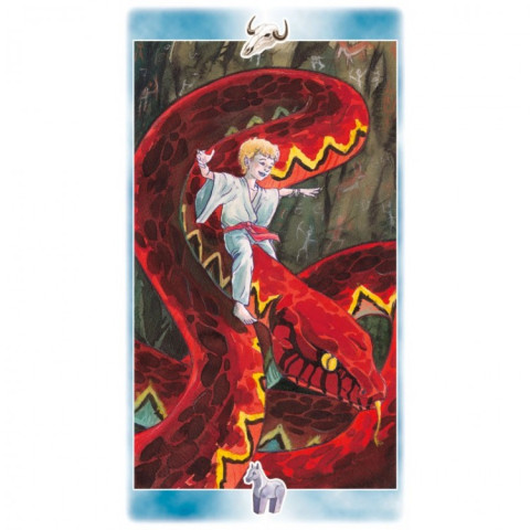 Karte Shaman Tarot