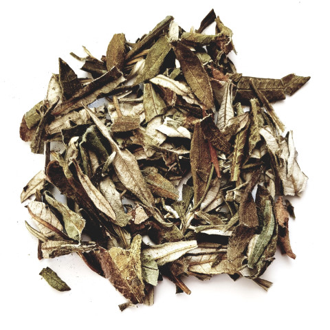 Kadilo Yerba Santa v lističih