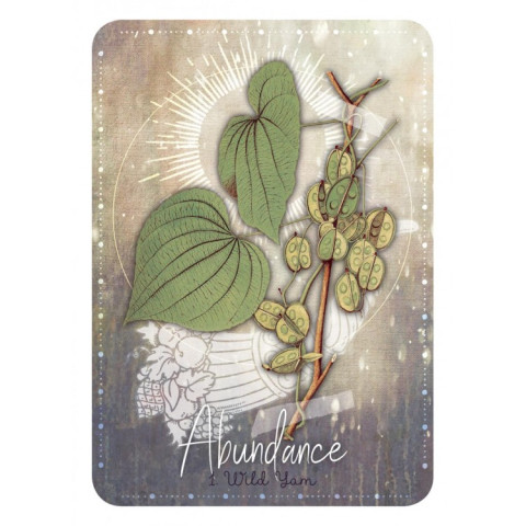 Orakeljske karte Magickal Herb Oracle