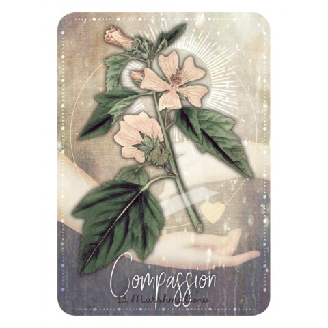 Orakeljske karte Magickal Herb Oracle