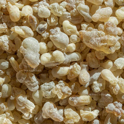 Kadilo Boswellia sacra - rumeno-bela bosvelija Oman - Superior Hojari