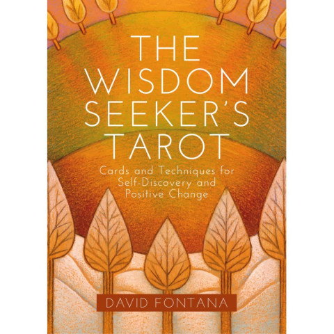 Karte The Wisdom Seeker's Tarot