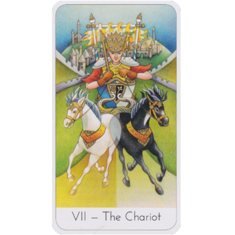 Karte The Wisdom Seeker's Tarot
