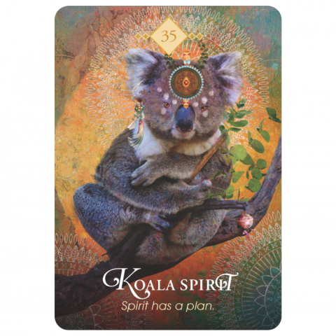 Orakeljske karte The Spirit Animal Oracle