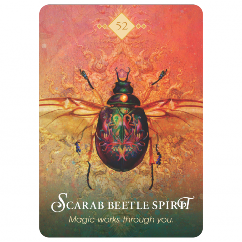 Orakeljske karte The Spirit Animal Oracle