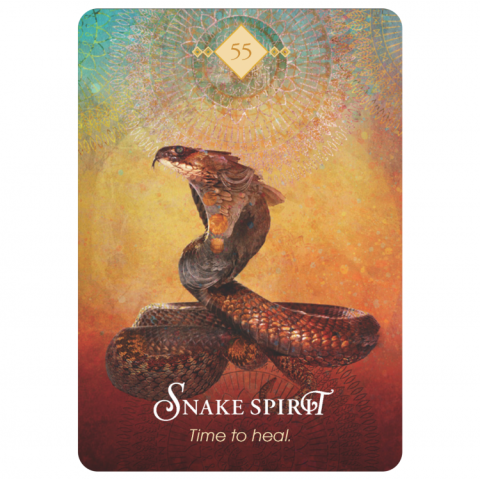 Orakeljske karte The Spirit Animal Oracle