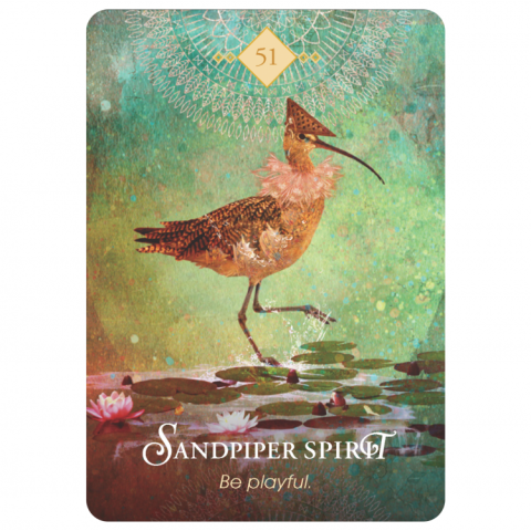 Orakeljske karte The Spirit Animal Oracle