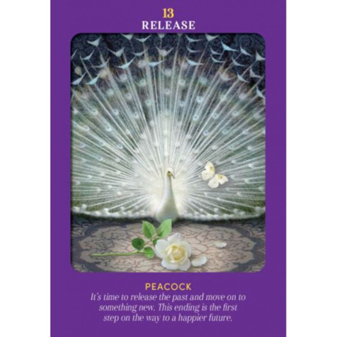 Animal Guides Tarot Deck
