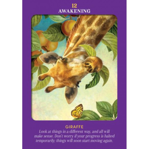 Animal Guides Tarot Deck