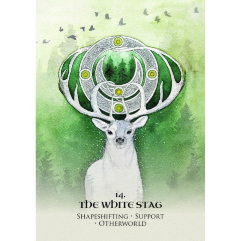 Orakeljske karte Celtic Spirit Oracle
