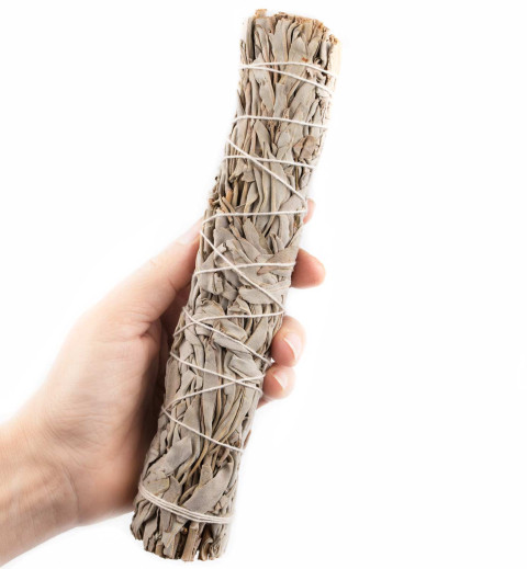 Beli žajbelj - White sage - velik zvitek