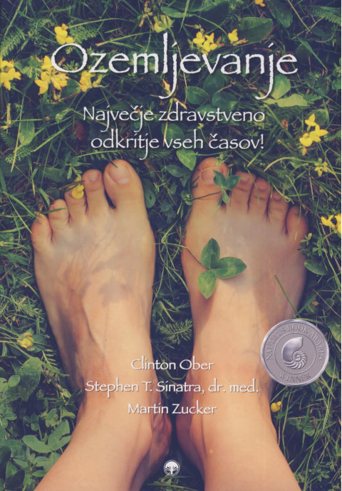 Ozemljevanje