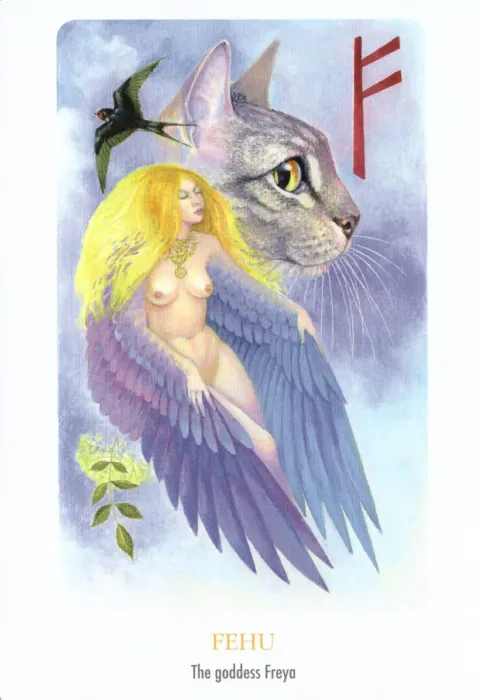The Rune Vision Cards