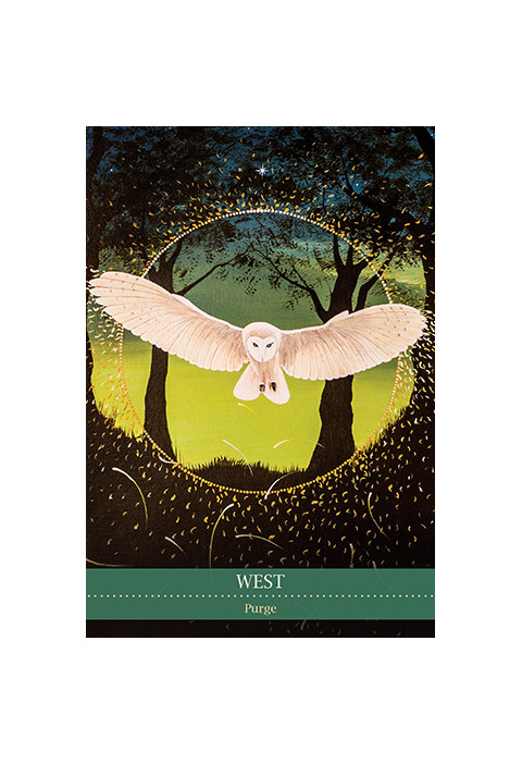 Karte Shamanic Medicine Oracle Cards