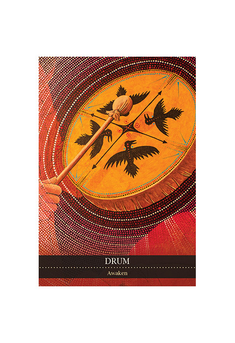 Karte Shamanic Medicine Oracle Cards