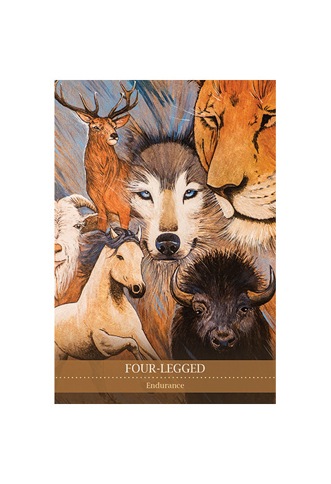Karte Shamanic Medicine Oracle Cards