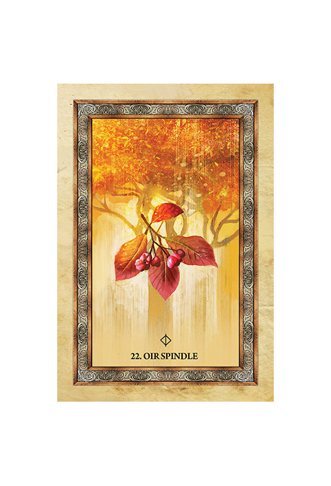 Orakeljske karte Celtic Tree Oracle
