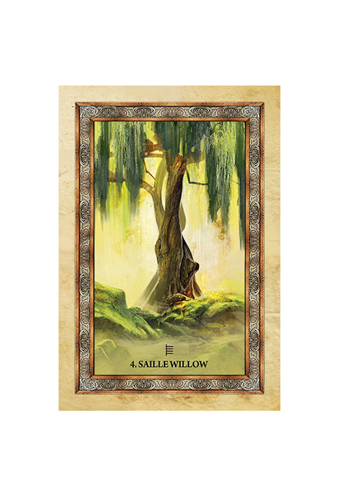 Orakeljske karte Celtic Tree Oracle