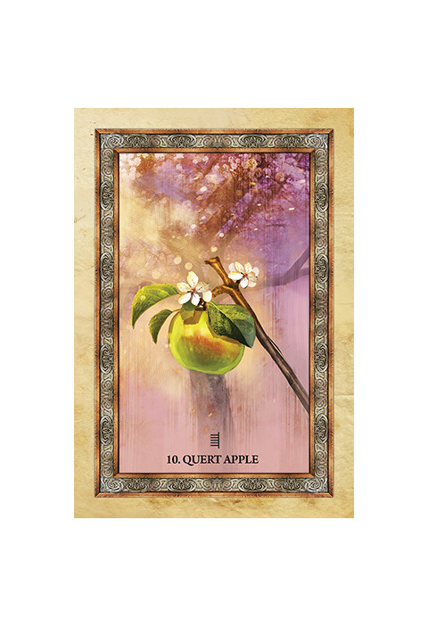 Orakeljske karte Celtic Tree Oracle