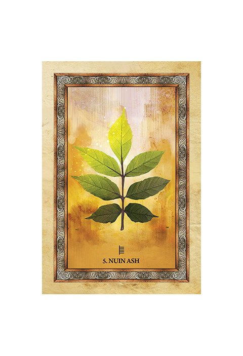 Orakeljske karte Celtic Tree Oracle