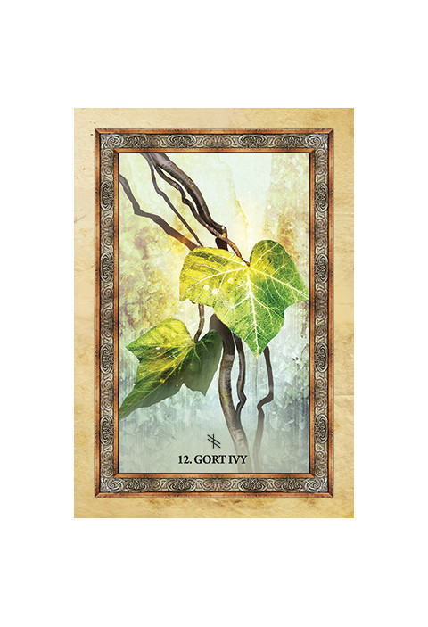 Orakeljske karte Celtic Tree Oracle