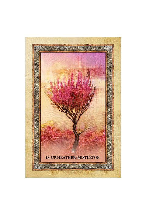 Orakeljske karte Celtic Tree Oracle