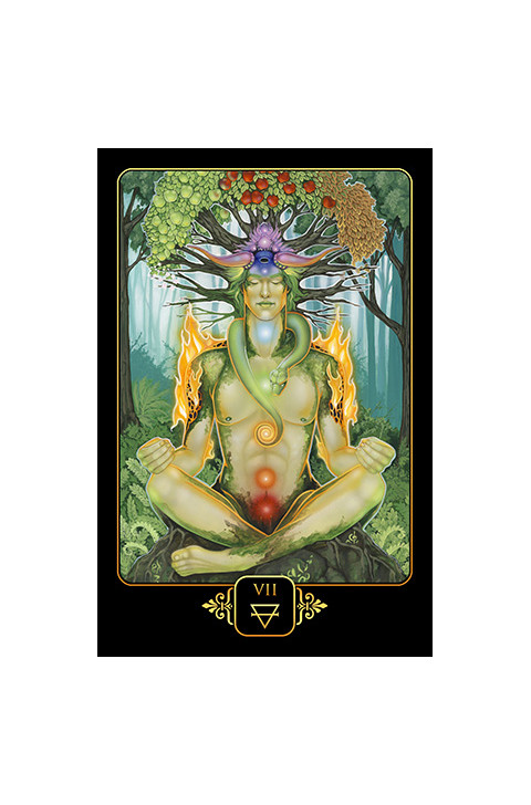 Karte Dreams of Gaia Tarot
